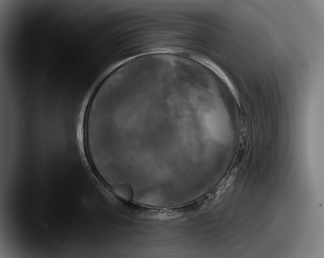 X0000087510811200705180953