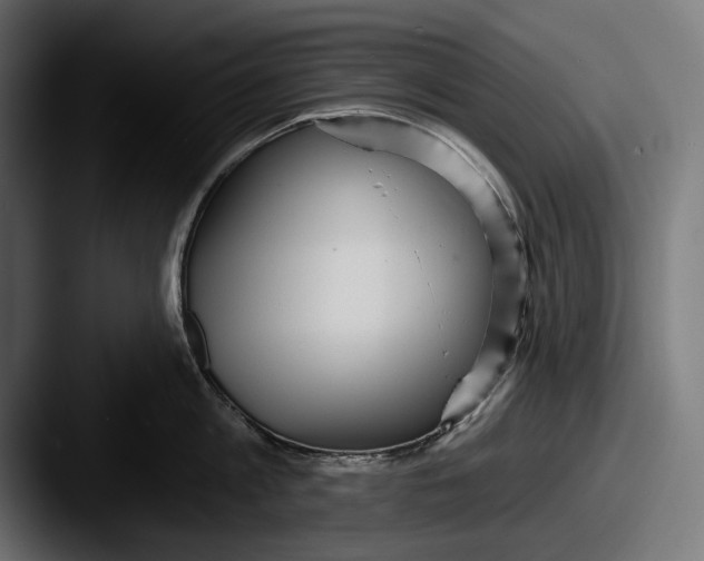 X0000087510813200705180953