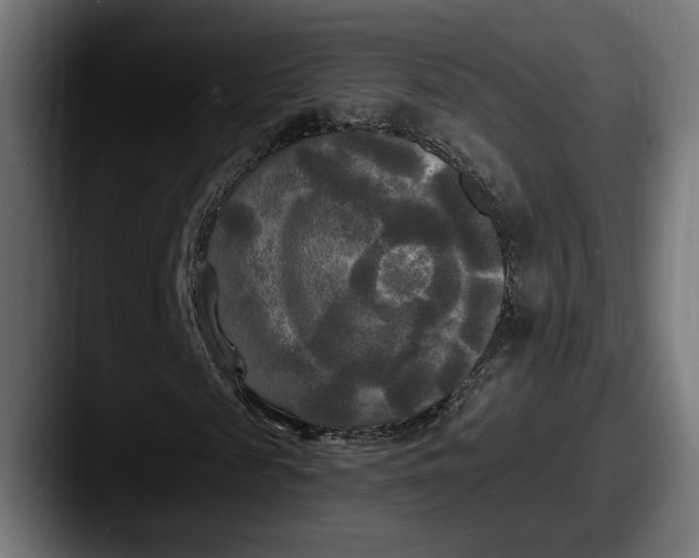 X0000087510817200705180952