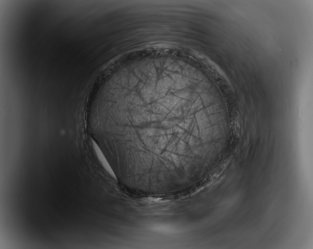 X0000087510821200705180953