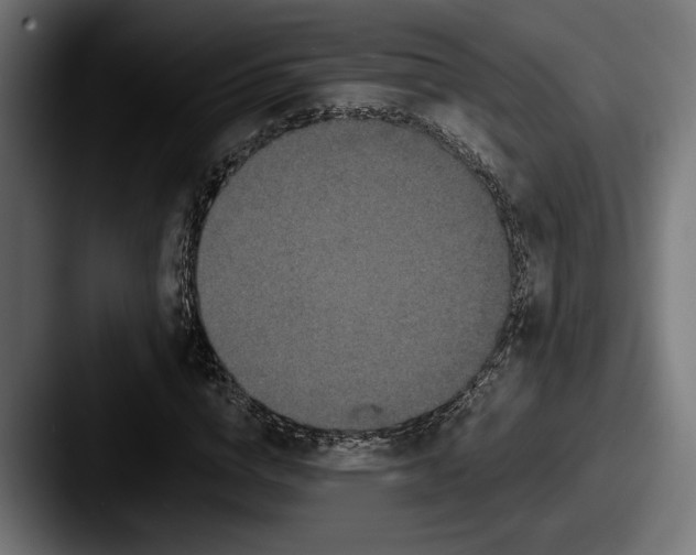 X0000087510824200705180953