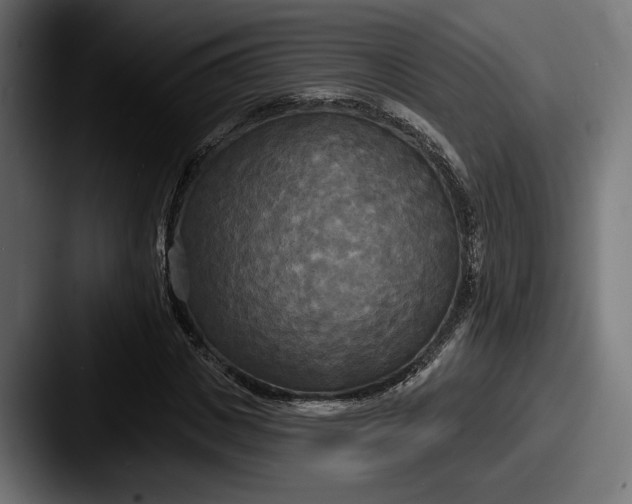X0000087510825200705180953