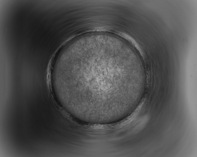 X0000087510827200705180953