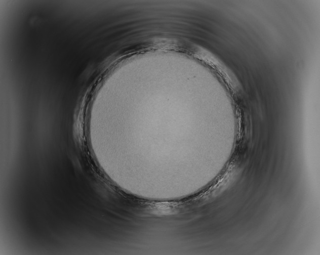 X0000087510828200705180953