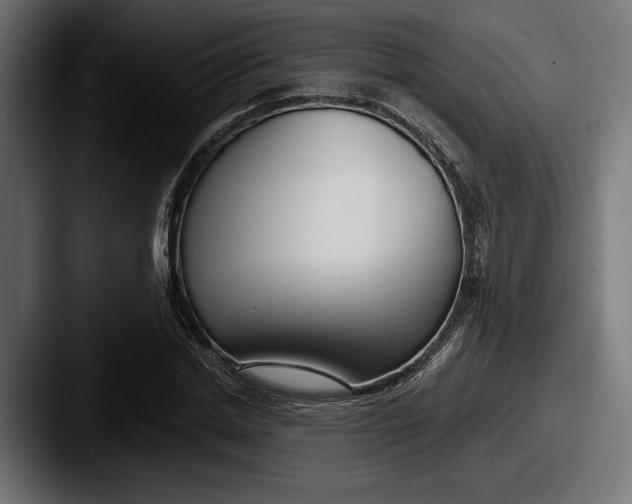 X0000087510830200705180953