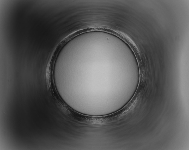 X0000087510831200705180953