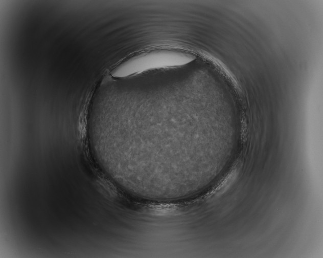 X0000087510833200705180953