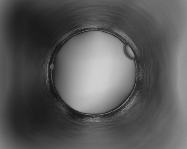 X0000087510834200705180953