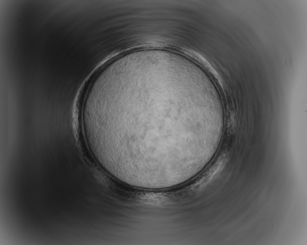 X0000087510835200705180953