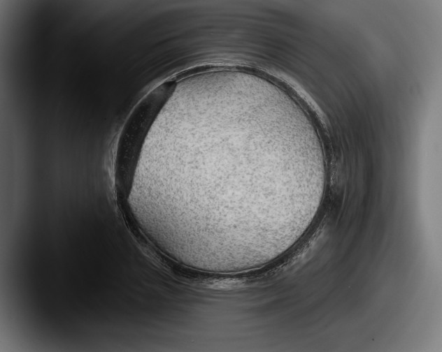 X0000087510837200705180953