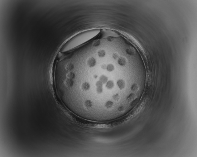 X0000087510839200705180953