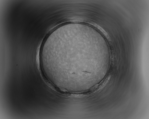 X0000087510840200705180953