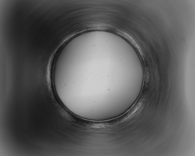 X0000087510843200705180953