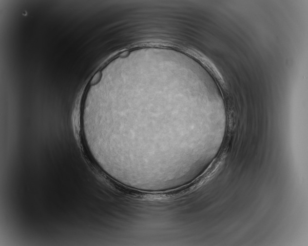 X0000087510844200705180953