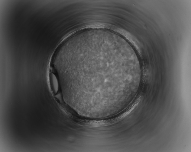 X0000087510845200705180953
