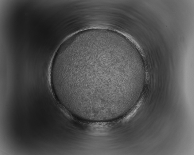 X0000087510846200705180953