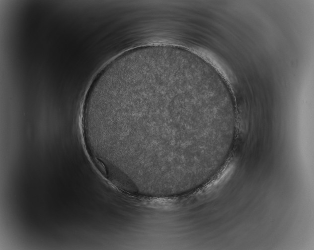 X0000087510847200705180953