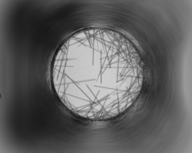 X0000087510848200705180953