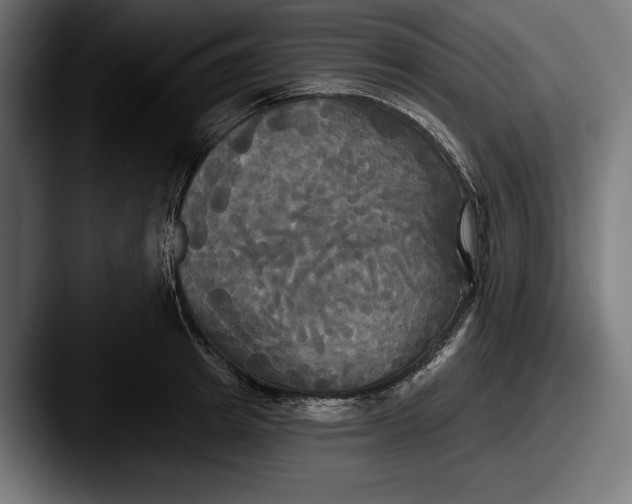 X0000087510849200705180953