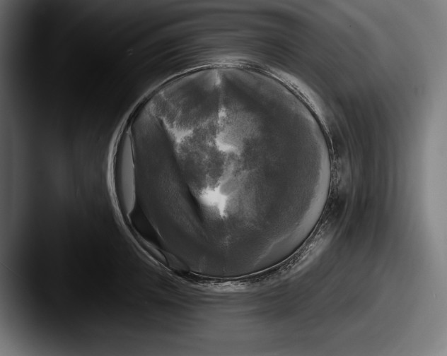 X0000087510851200705180953