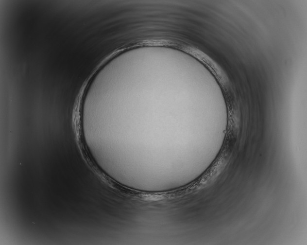 X0000087510852200705180953