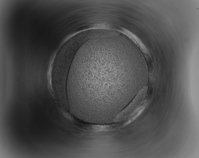 X0000087510854200705180953