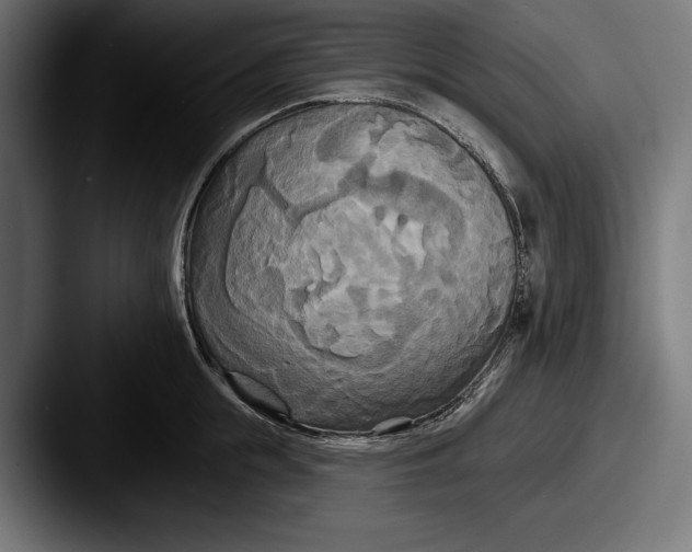 X0000087510855200705180953