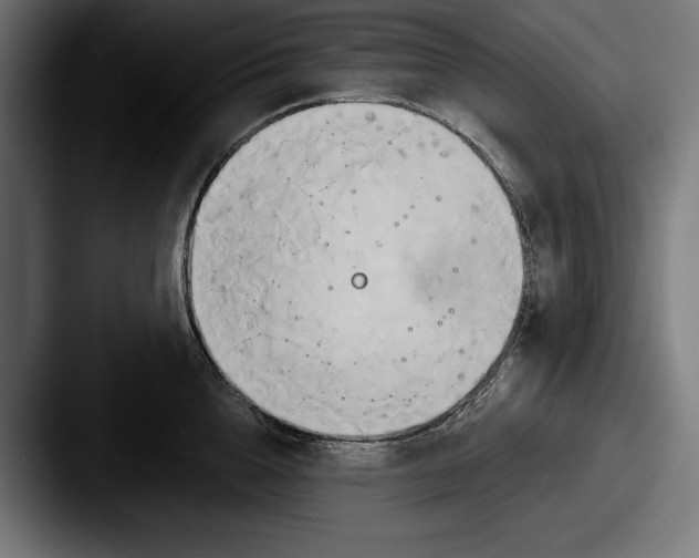 X0000087510856200705180953