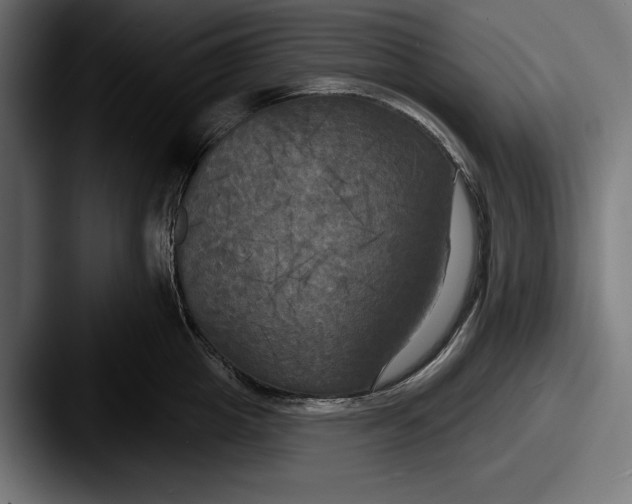 X0000087510857200705180953
