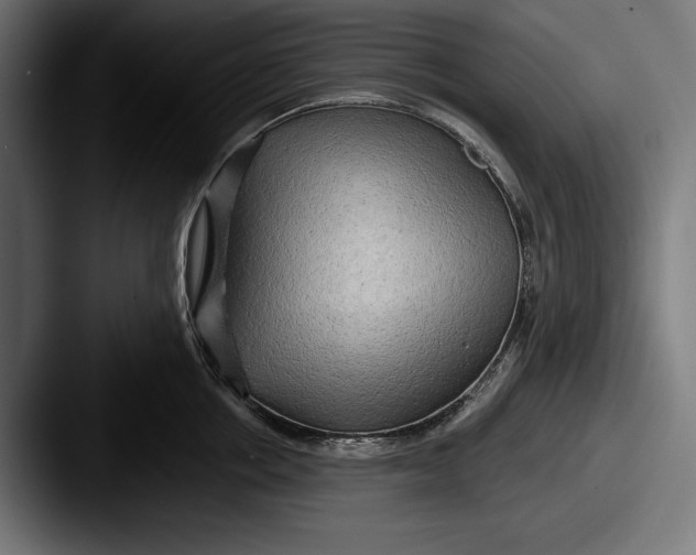 X0000087510858200705180953