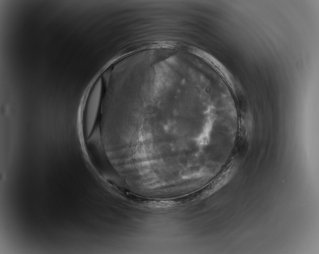 X0000087510859200705180953