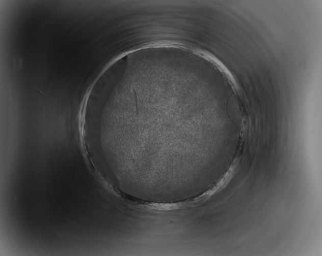 X0000087510860200705180953