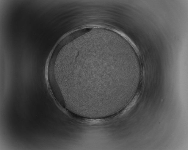 X0000087510862200705180953
