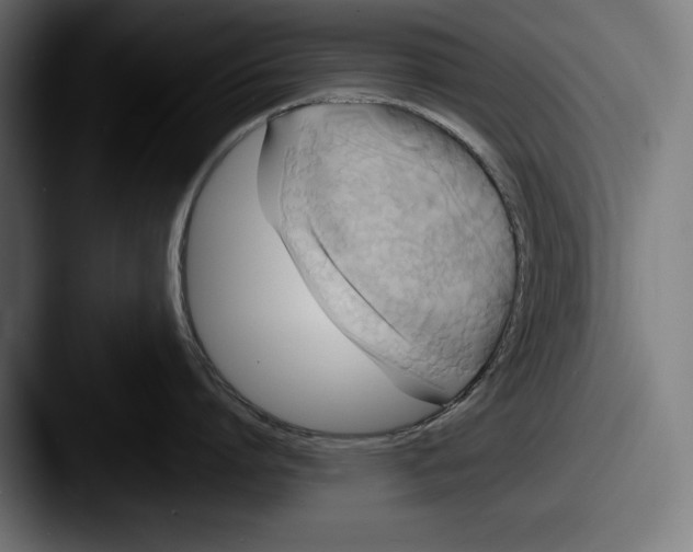 X0000087510864200705180953