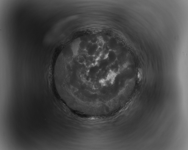 X0000087510867200705180952