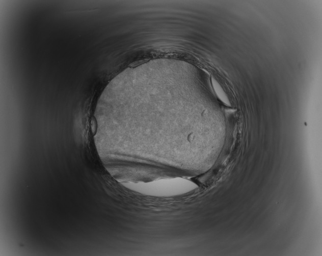 X0000087510868200705180952