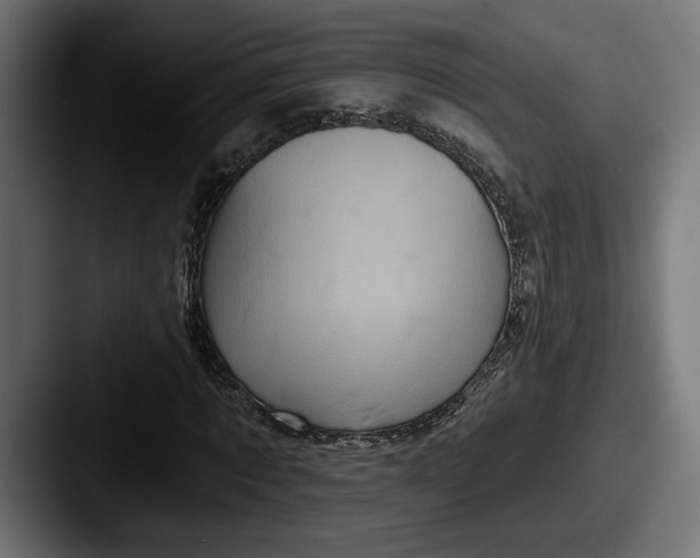 X0000087510869200705180952