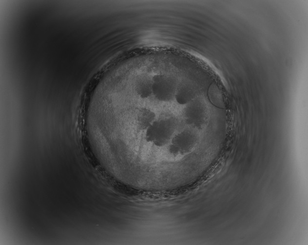 X0000087510871200705180952
