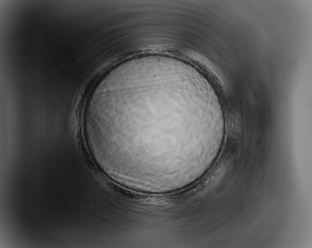 X0000087510874200705180952