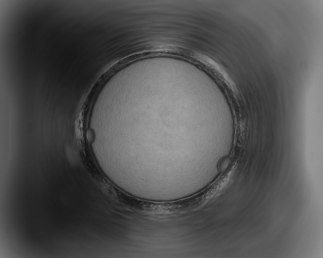 X0000087510875200705180952