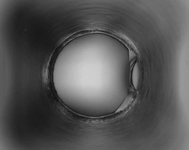 X0000087510876200705180952