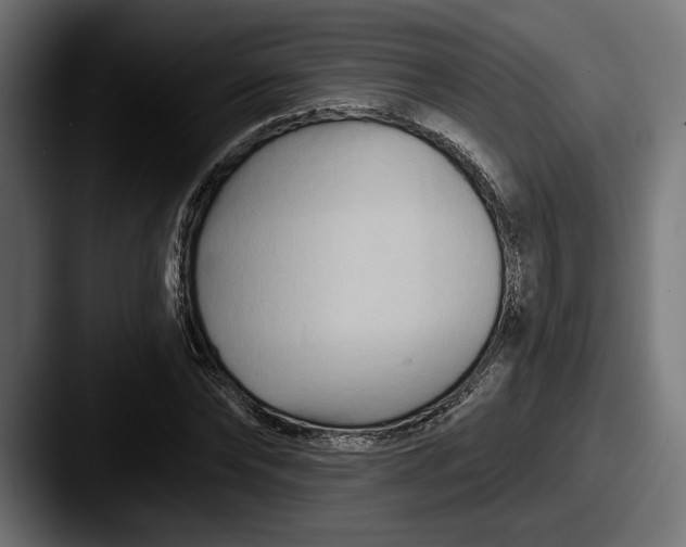 X0000087510878200705180952
