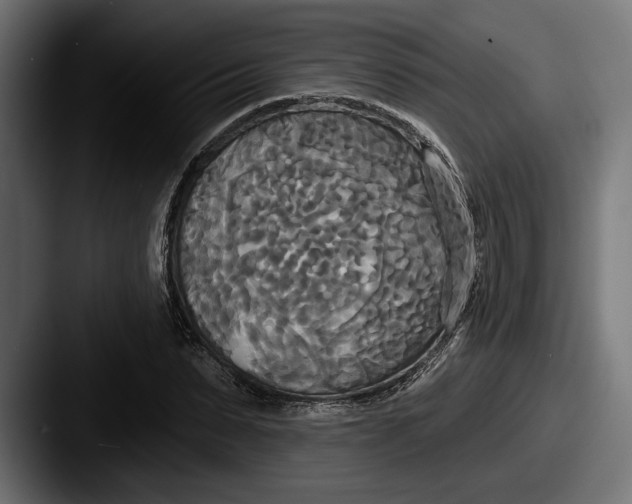 X0000087510879200705180952