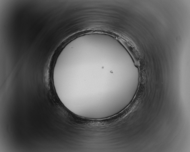 X0000087510880200705180952