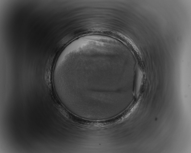 X0000087510881200705180952