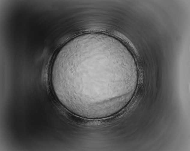 X0000087510882200705180952