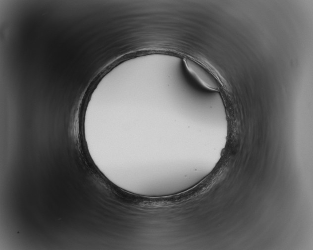 X0000087510884200705180952