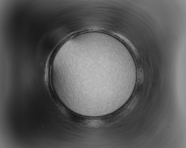 X0000087510886200705180952