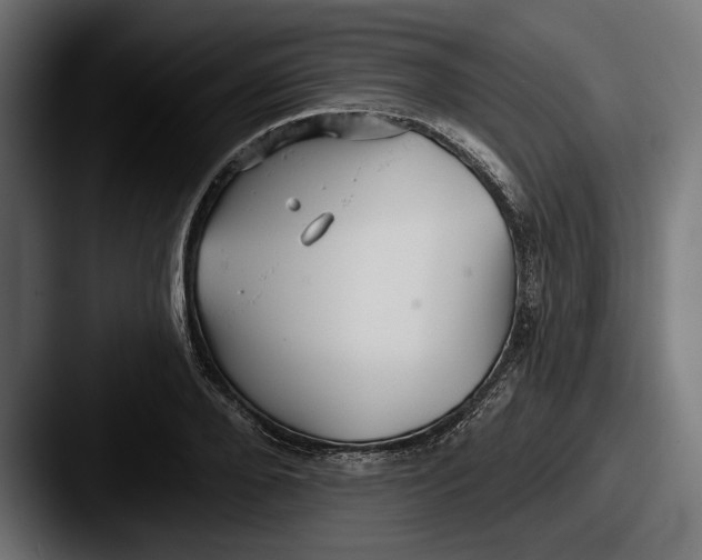 X0000087510888200705180952