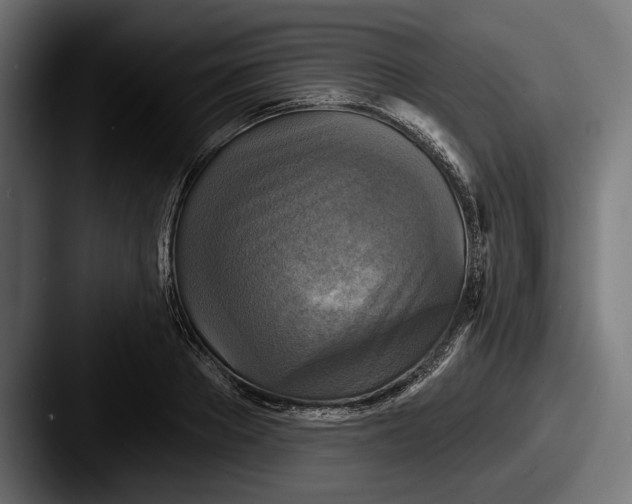 X0000087510889200705180952